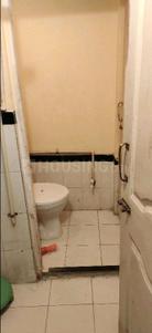 Bathroom Image of 325 Sq.ft 1 BHK Apartment / Flat for rent in Piramal Mahalaxmi, Worli Mumbai for Rs. 33000