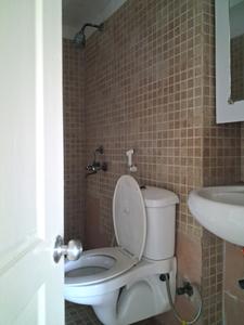 Common Bathroom Image of 1410 Sq.ft 3 BHK Apartment / Flat for sale in Paras Tierea, Sector 137 Noida for Rs. 12500000