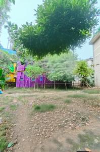 Behala B G PRESS Plot View 3