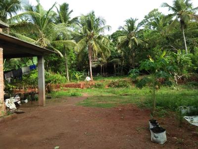 Image of 1500 Sq.ft 2 BHK Independent House for sale in Chathamangalam Grama Panchayath, Kozhikode for Rs. 3800000