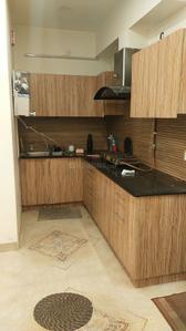 Kitchen Image of 820 Sq.ft 2 BHK Apartment / Flat for rent in AGI Smart Homes, Pholriwal Jalandhar for Rs. 24500