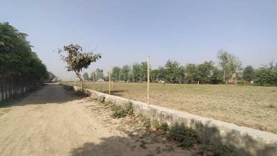 Image of 24282 Sq.ft Residential Plot / Land for sale in Palwal, Hodal for Rs. 378000000
