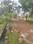 KONCHOWKI HOUSING SOCIETY Internal Roads 2
