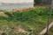 R k properties Plot View 2