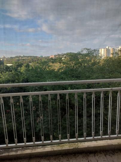 Brigade Plumeria At Meadows Main Image 1