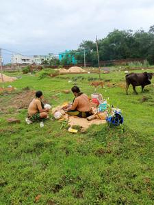 Jatni Plot View 1