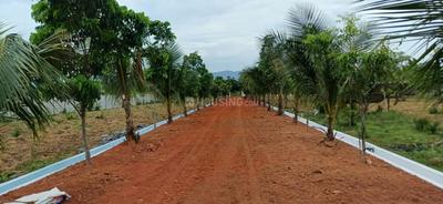 Image of 111 Sq.ft Residential Plot / Land for sale in Kothavalasa, Visakhapatnam for Rs. 666000