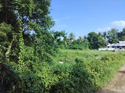 Vadakkencherry Plot View 1