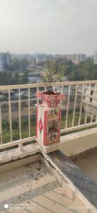 Balcony Image of 1180 Sq.ft 2 BHK Apartment / Flat for sale in Sai Datta Paradise, Chakan Pune for Rs. 6500000