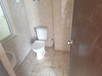 Image of 700 Sq.ft 2 BHK Apartment / Flat for sale in Amrapali Dream Valley 2, Noida Extension, Greater Noida for Rs. 5635000