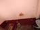 Padmavathi Nagar Bathroom 1
