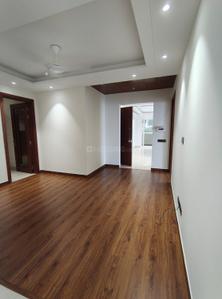 Hall Image of 2700 Sq.ft 4 BHK Builder Floor for sale in Green Park New Delhi for Rs. 85000000