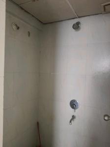 Common Bathroom Image of 585 Sq.ft 1 BHK Apartment / Flat for sale in Lodha Casa Rio, Palava Phase 1 Thane for Rs. 2900000