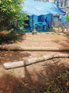 Image of 5525 Sq.ft Residential Plot / Land for sale in Aroor, Kochi for Rs. 6350000