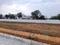 PGR Urban City Nandhi upachar Plot View 2