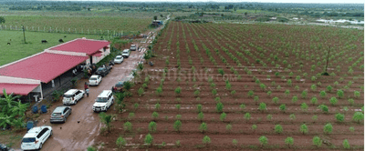 Image of 1200 Sq.ft Residential Plot / Land for sale in Madanahalli, Kolar for Rs. 1000000