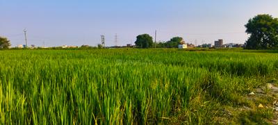 Image of 2720 Sq.ft Residential Plot / Land for sale in Kandwa, Varanasi for Rs. 3600000