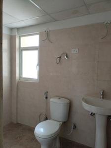 Common Bathroom Image of 975 Sq.ft 2 BHK Apartment / Flat for sale in Amrapali Verona Heights, Noida Extension Greater Noida for Rs. 7100000