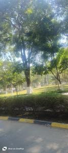 Image of 250 Sq.ft Residential Plot / Land for sale in Central Park Flower Valley 3, Sector 32, Sohna for Rs. 57500000