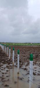 Image of 4000 Sq.ft Residential Plot / Land for sale in Harishchandra Pimpale, Navi Mumbai for Rs. 2800000