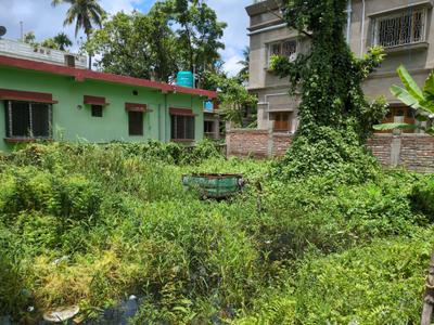 Bisharpara Plot View 2