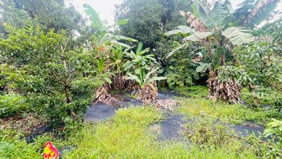 Image of 4140 Sq.ft Residential Plot / Land for sale in Aluva, Kochi for Rs. 6200000