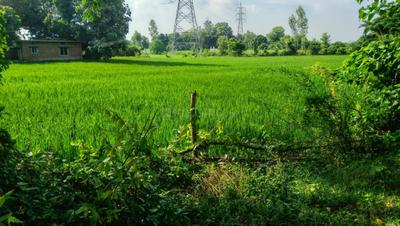 Image of 22000 Sq.ft Residential Plot / Land for sale in Ganja, Ayodhya for Rs. 34000000