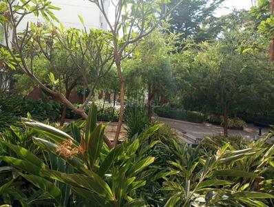 Image of 610 Sq.ft 1 BHK Apartment / Flat for sale in Prestige Kew Gardens by Prestige Projects Pvt Ltd, Bellandur, Bengaluru for Rs. 13500000