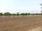 GEM Infiniti Counti Plot View 2