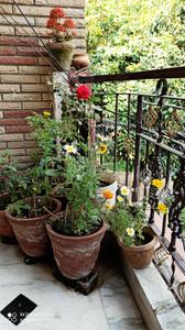 KW Srishti 1 Balcony 2