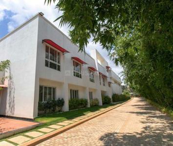 Image of 770 Sq.ft 1 BHK Apartment / Flat for rent in NR Windgates, Chokkanahalli, Bengaluru for Rs. 28000