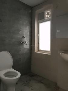 Common Bathroom Image of 920 Sq.ft 2.5 BHK Apartment / Flat for rent in Amrapali Dream Valley 2, Noida Extension Greater Noida for Rs. 18950