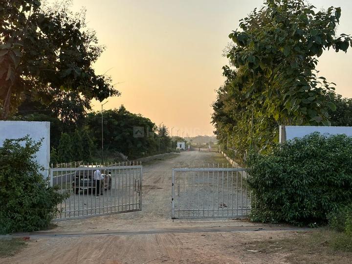 Bihta Main Image 1