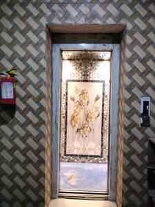 Lift Image of 864 Sq.ft 3 BHK Apartment / Flat for sale in Palam New Delhi for Rs. 4400000