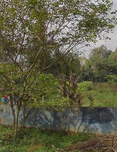 Image of 193000 Sq.ft Residential Plot / Land for sale in JP Nagar, Bengaluru for Rs. 2000000000