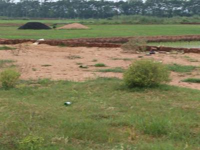 Image of 1000 Sq.ft Residential Plot / Land for sale in Benupur, Bhubaneswar for Rs. 2300000