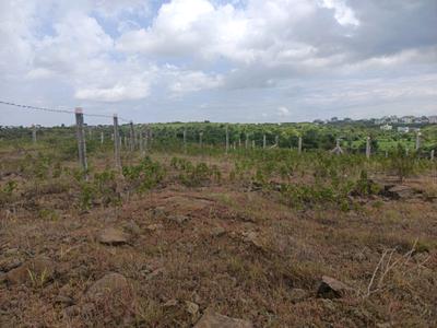 Image of 1200 Sq.ft Residential Plot / Land for sale in Lohegaon, Pune for Rs. 3613000
