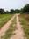 Natures Paradise Internal Roads 2