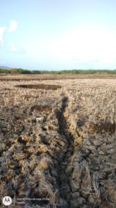 Landcore Developers Plot In Sarde Plot View 3