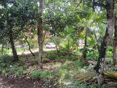 Image of 1000 Sq.ft 2 BHK Independent House for sale in Thevally, Kollam for Rs. 5500000