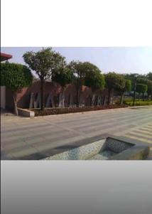Image of 600 Sq.ft 2 BHK Apartment / Flat for rent in Ayodhya Bypass, Bhopal for Rs. 12000