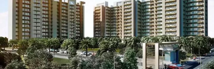 Magnolia Oxygen Main Image 1