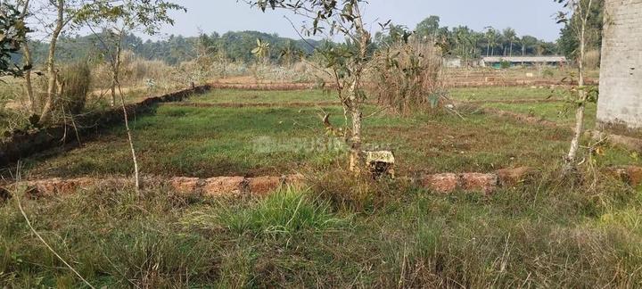 Balipada Main Image 1