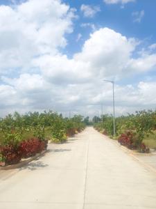 Image of 250 Sq.ft Residential Plot / Land for sale in Foxkonn Central Park, Adibatla, Hyderabad for Rs. 5760000