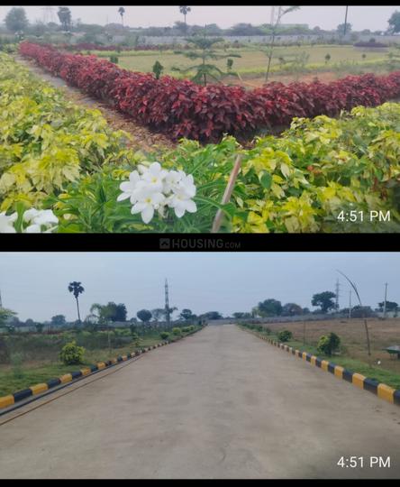 Dream meadows Main Image 1