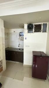 Image of 900 Sq.ft 1 BHK Builder Floor for rent in Malviya Nagar, Jaipur for Rs. 17000