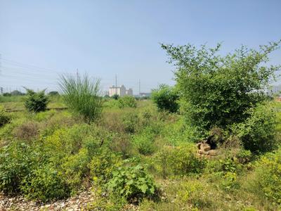 Image of 900 Sq.ft Residential Plot / Land for sale in Bhanauta, Greater Noida for Rs. 3501800