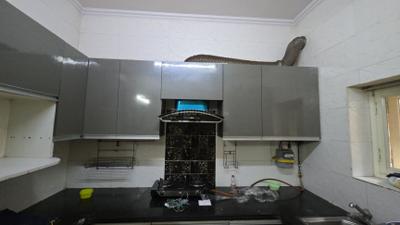 Kitchen Image of 980 Sq.ft 2 BHK Apartment / Flat for rent in Pitampura New Delhi for Rs. 30000