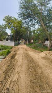 Image of 11000 Sq.ft 4 BHK Independent House for sale in Ranti, Madhubani for Rs. 3200000