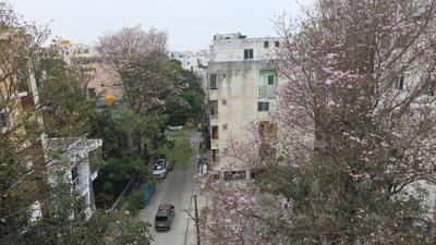 Image of 950 Sq.ft 2 BHK Builder Floor for rent in Electronic City, Bengaluru for Rs. 18000